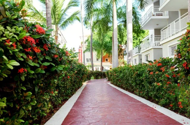 Sol Caribe Beach Club Resort Appartement Jardin